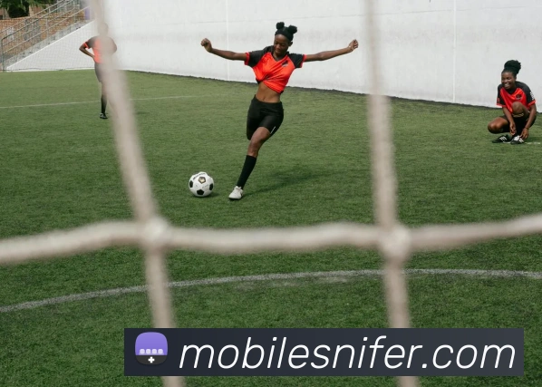登录器